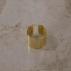 Anillo Evet - Imagen 2