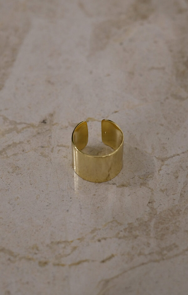 Anillo Evet - Imagen 2